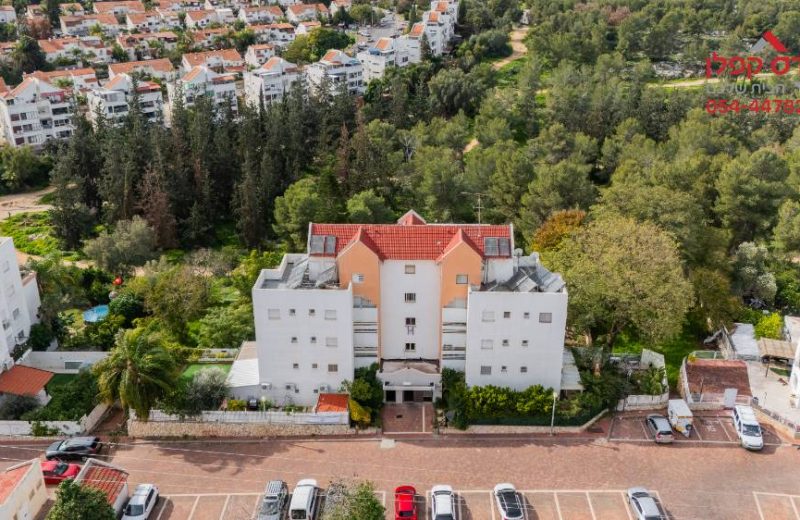 למכירה דופלקס גג בנווה אפק בראש העין