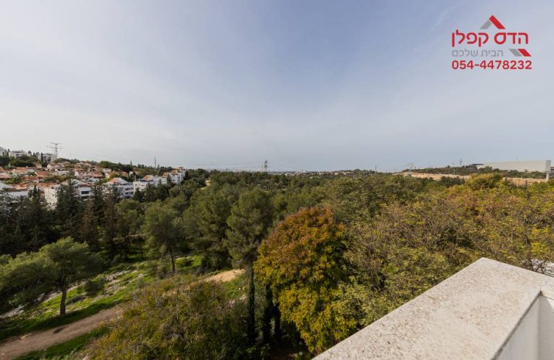 למכירה דופלקס גג בנווה אפק בראש העין