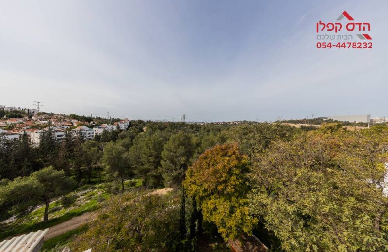 למכירה דופלקס גג בנווה אפק בראש העין