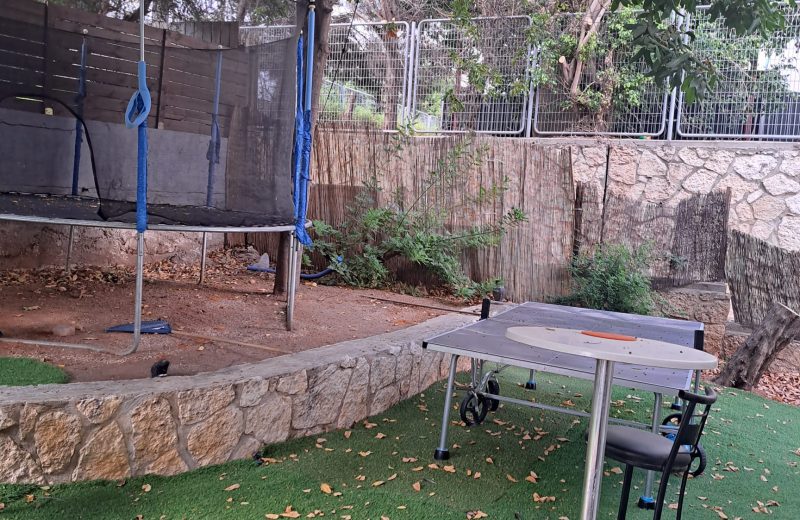 WhatsApp Image 2023-06-18 at 19.12.50 (2)