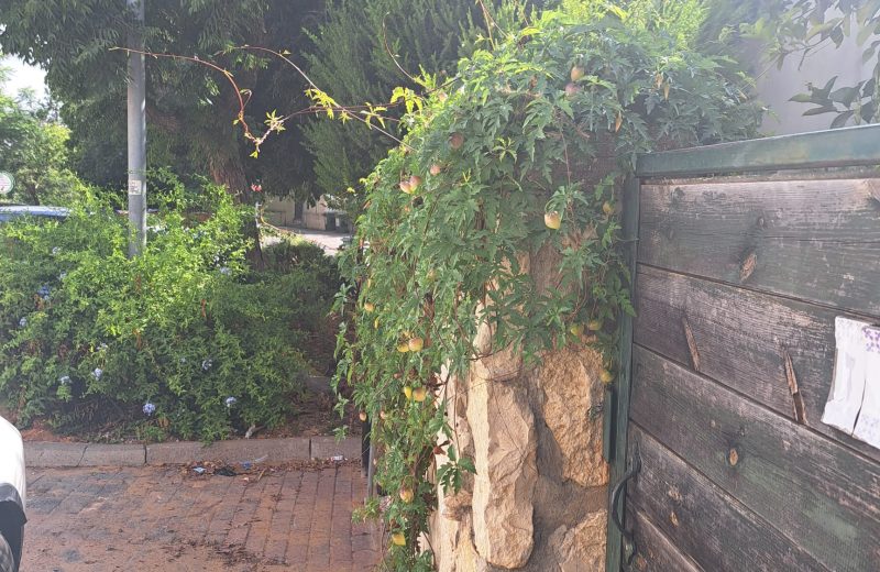 WhatsApp Image 2023-06-18 at 19.12.53 (2)