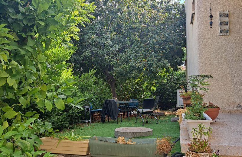 WhatsApp Image 2023-06-18 at 19.12.53